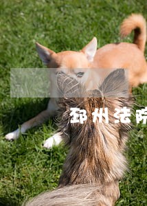 邳州法院少年庭邹莉莉 邳州法院少年庭邹莉莉