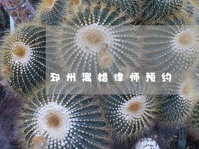 邳州离婚律师预约 邳州离婚律师预约