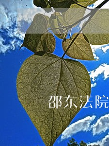 邵东法院拍卖阳光花园车库 邵东法院拍卖阳光花园车库