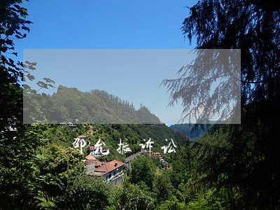 邵允振诉讼 邵允振诉讼