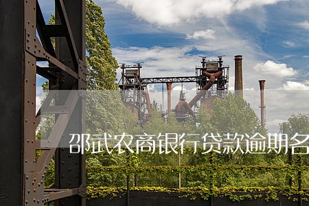邵武农商银行贷款逾期名单 邵武农商银行贷款逾期名单