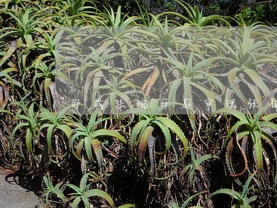 邵武法院开庭审理张征案件 邵武法院开庭审理张征案件