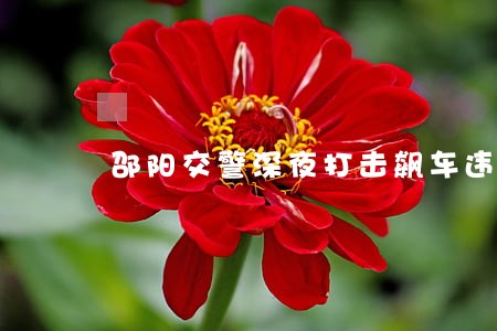 邵阳交警深夜打击飙车违法行为 邵阳交警深夜打击飙车违法行为