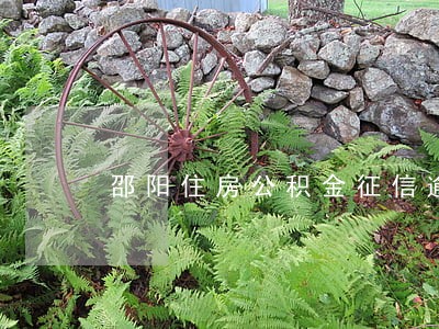 邵阳住房公积金征信逾期