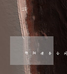 邵阳债务合同律师