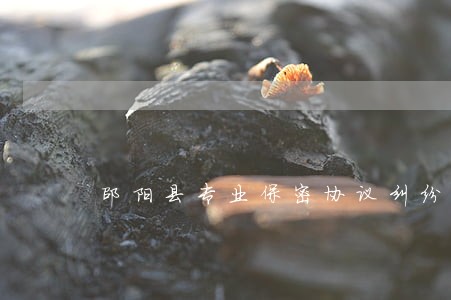 邵阳县专业保密协议纠纷律师 邵阳县专业保密协议纠纷律师