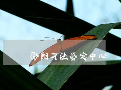 邵阳司法鉴定中心 邵阳司法鉴定中心