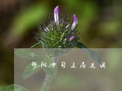 邵阳市司法局选调