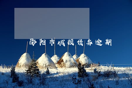 邵阳市城投债务逾期