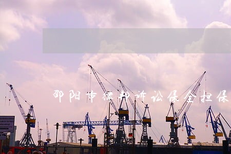 邵阳市律邦诉讼保全担保有限公司