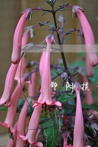 邵阳损害赔偿法律咨询 邵阳损害赔偿法律咨询
