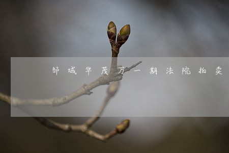 邹城华茂万一期法院拍卖房 邹城华茂万一期法院拍卖房