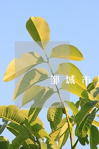 邹城市城投控股集团有限公司逾期 邹城市城投控股集团有限公司逾期