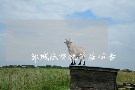 邹城法院执行庭公告 邹城法院执行庭公告