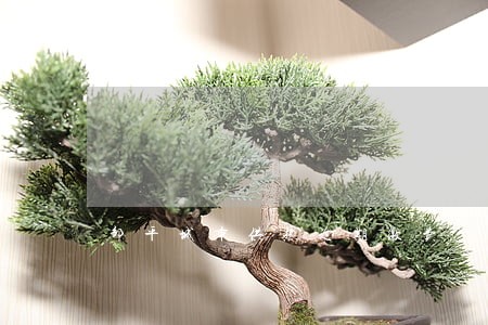 邹平城市供热逾期缴费 邹平城市供热逾期缴费