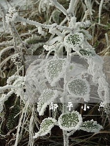 邹平小产权法院立案吗 邹平小产权法院立案吗