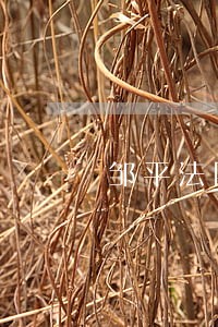邹平法院出售二手车 邹平法院出售二手车