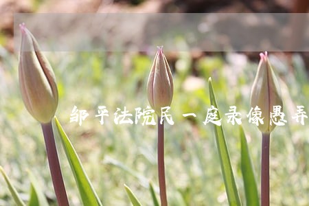 邹平法院民一庭录像愚弄人民 邹平法院民一庭录像愚弄人民