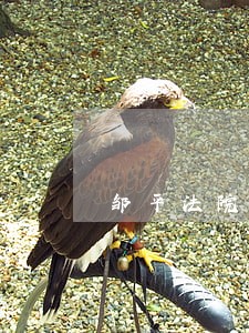邹平法院民事审判二庭 邹平法院民事审判二庭