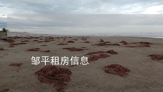 邹平租房信息 邹平租房信息