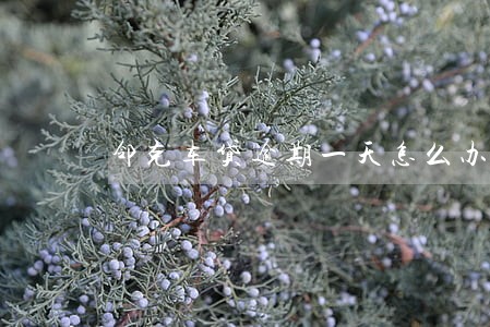 邻克车贷逾期一天怎么办 邻克车贷逾期一天怎么办