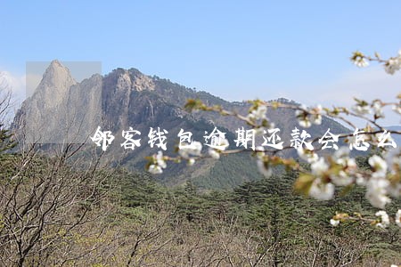 邻客钱包逾期还款会怎么样