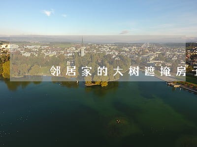 邻居家的大树遮掩房子违法吗