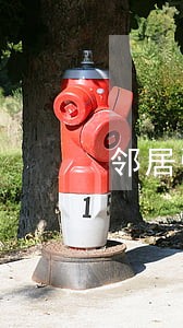 邻居强行让我家给他留路违法那吗 邻居强行让我家给他留路违法那吗