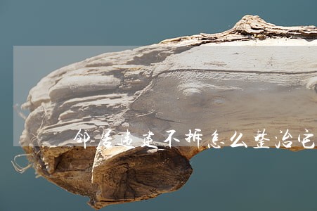 邻居违建不拆怎么整治它