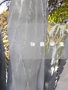 邻居闹离婚可以去她家劝不 邻居闹离婚可以去她家劝不