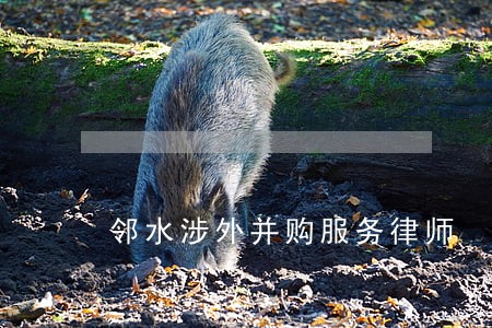 邻水涉外并购服务律师 邻水涉外并购服务律师