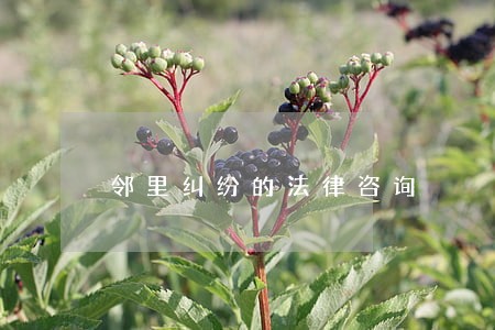 邻里纠纷的法律咨询 邻里纠纷的法律咨询