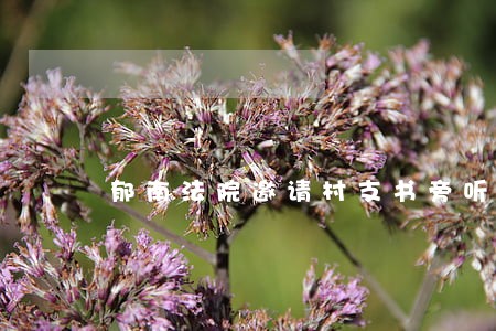 郁南法院邀请村支书旁听庭审 郁南法院邀请村支书旁听庭审