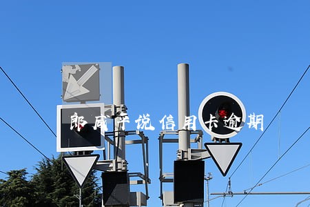 郎咸平说信用卡逾期 郎咸平说信用卡逾期