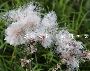 郎溪法院开展消防安全检查 郎溪法院开展消防安全检查