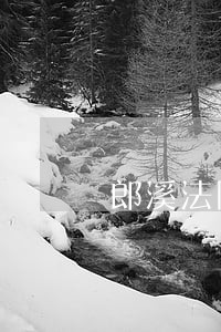 郎溪法院扫黑除恶 郎溪法院扫黑除恶
