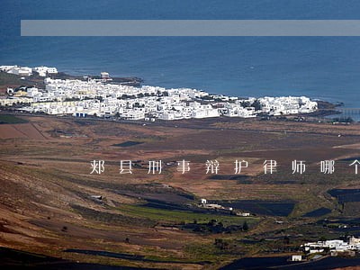 郏县刑事辩护律师哪个更好更专业 郏县刑事辩护律师哪个更好更专业