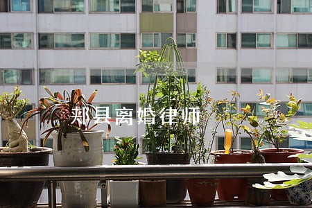 郏县离婚律师 郏县离婚律师