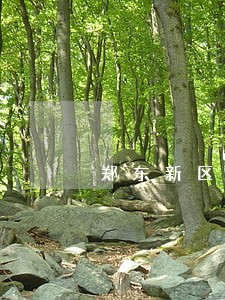 郑东新区房产继承律师收费 郑东新区房产继承律师收费