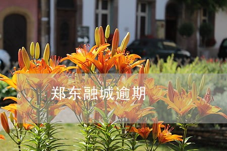 郑东融城逾期 郑东融城逾期