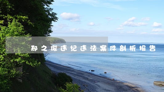 郑之俊违纪违法案件剖析报告 郑之俊违纪违法案件剖析报告