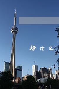 郑什么力通力律师所 郑什么力通力律师所