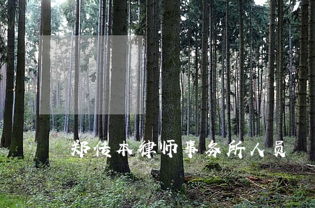 郑传本律师事务所人员 郑传本律师事务所人员