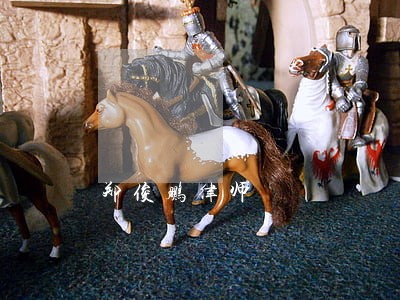 郑俊鹏律师