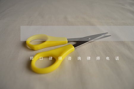 郑口律师咨询律师电话 郑口律师咨询律师电话