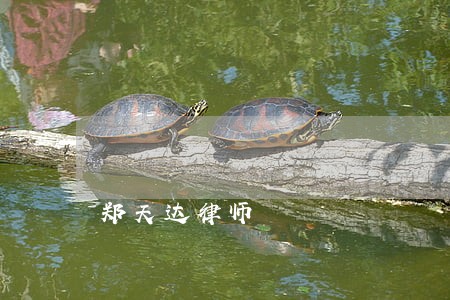 郑天达律师 郑天达律师