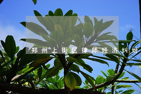 郑州上街区律师经济纠纷咨询 郑州上街区律师经济纠纷咨询