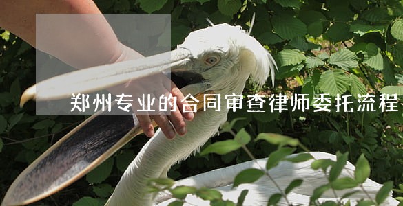 郑州专业的合同审查律师委托流程 郑州专业的合同审查律师委托流程