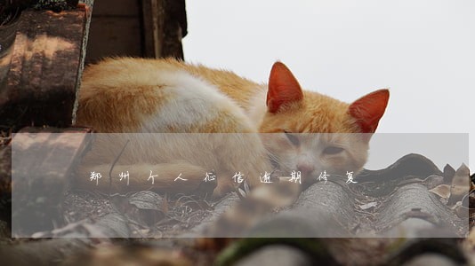 郑州个人征信逾期修复 郑州个人征信逾期修复