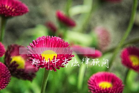 郑州中专法律顾问 郑州中专法律顾问